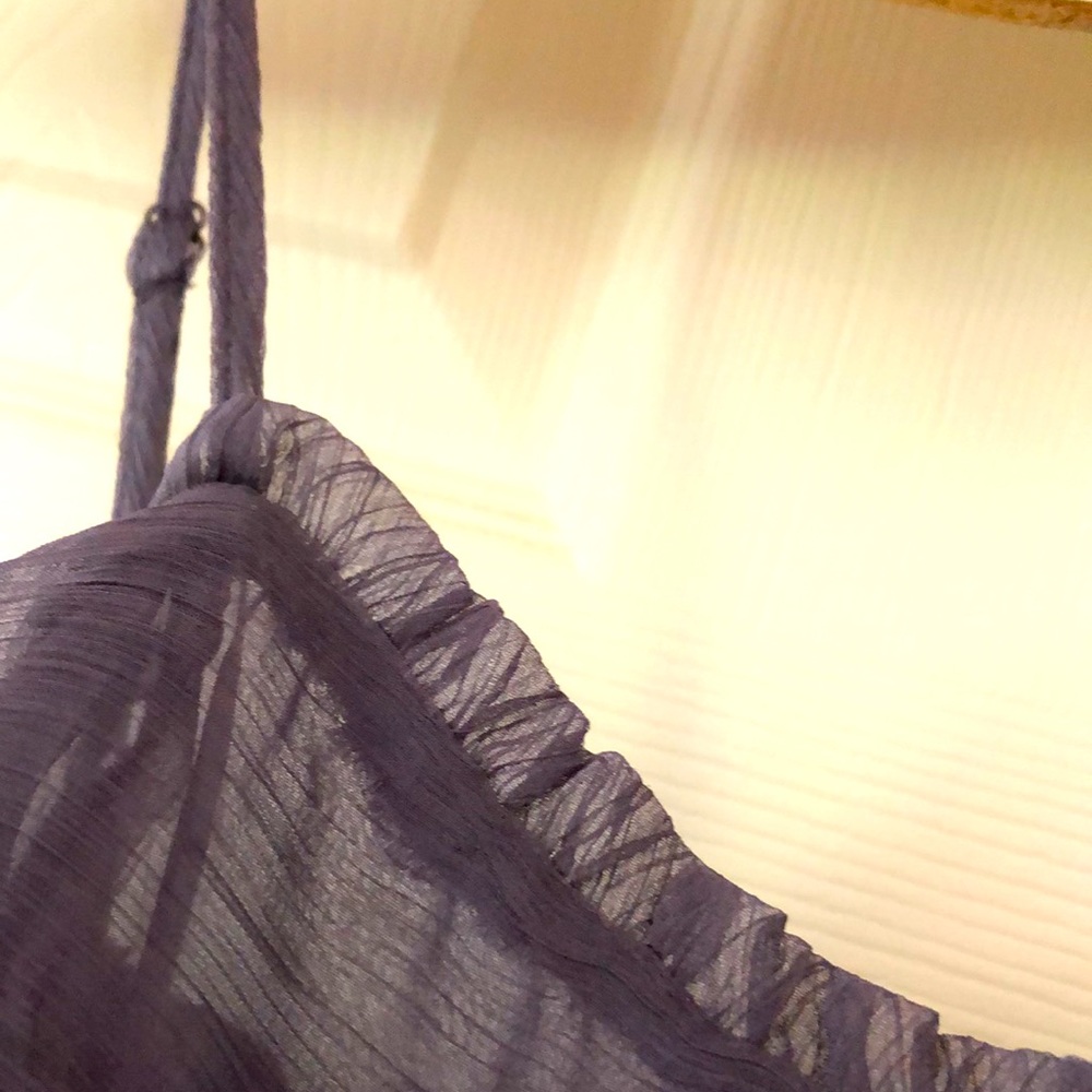 DONATED-EUC, Never Worn, Cheeky Sheer Mini Dress - Picture 3 of 11